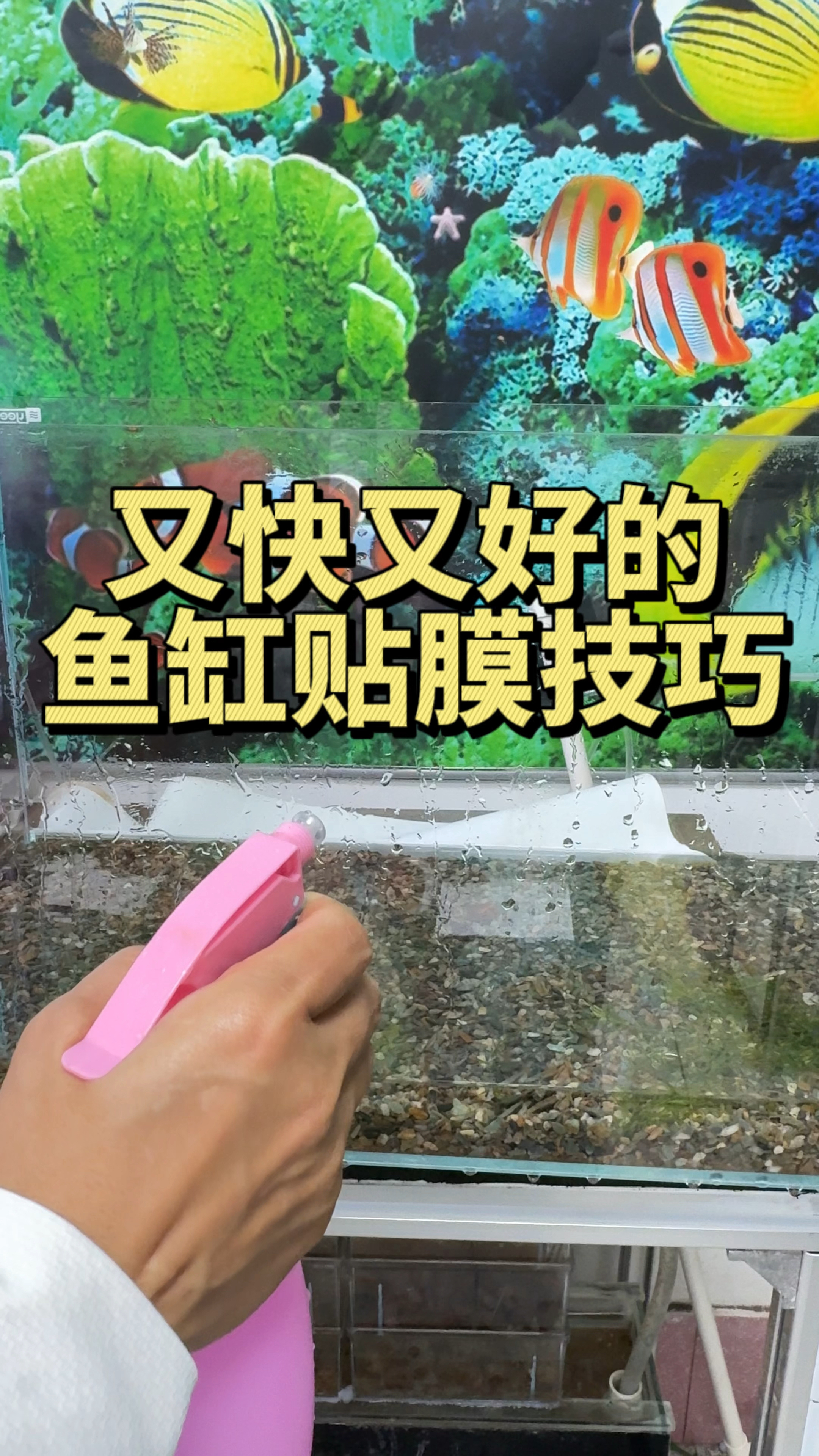 鱼缸背景纸如何贴得又快又好教程来啦#观赏鱼 #养鱼日记 #手工diy