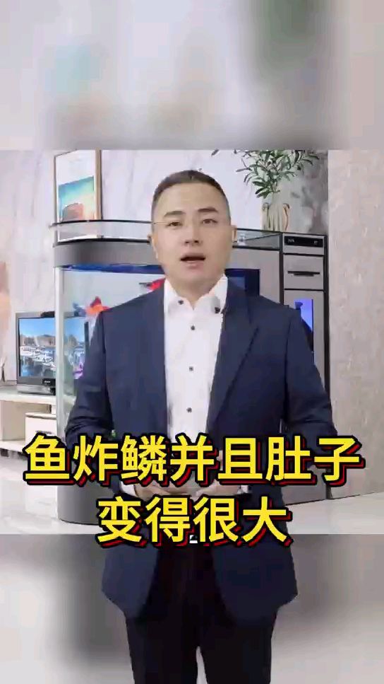 鱼炸鳞并且肚子变得很大