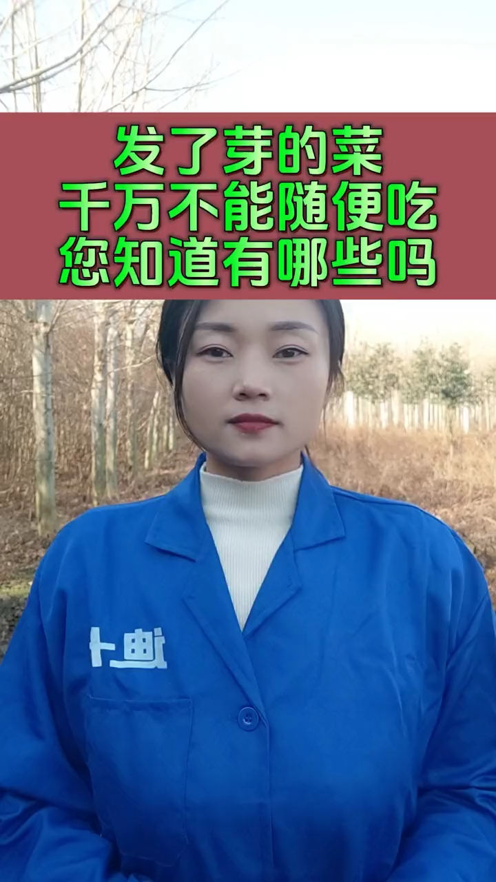 发芽的菜不能随便吃