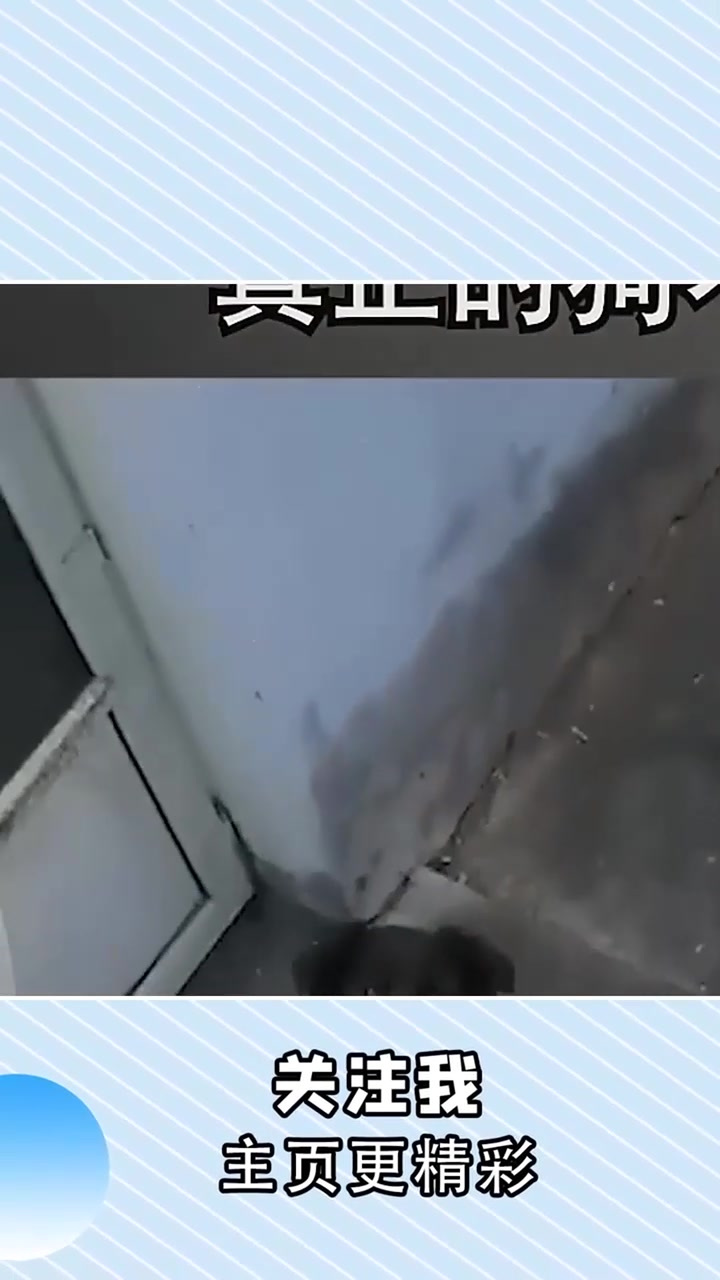 狗肉锅应该放点什么调料