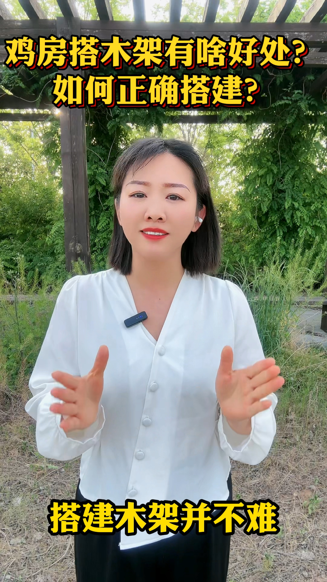鸡房搭木架有啥好处?如何正确搭建?