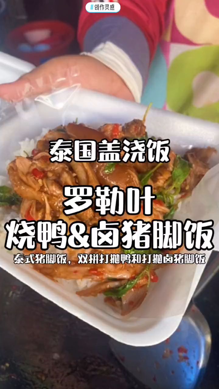 阿航vlog-罗勒叶 烧鸭&卤猪脚饭