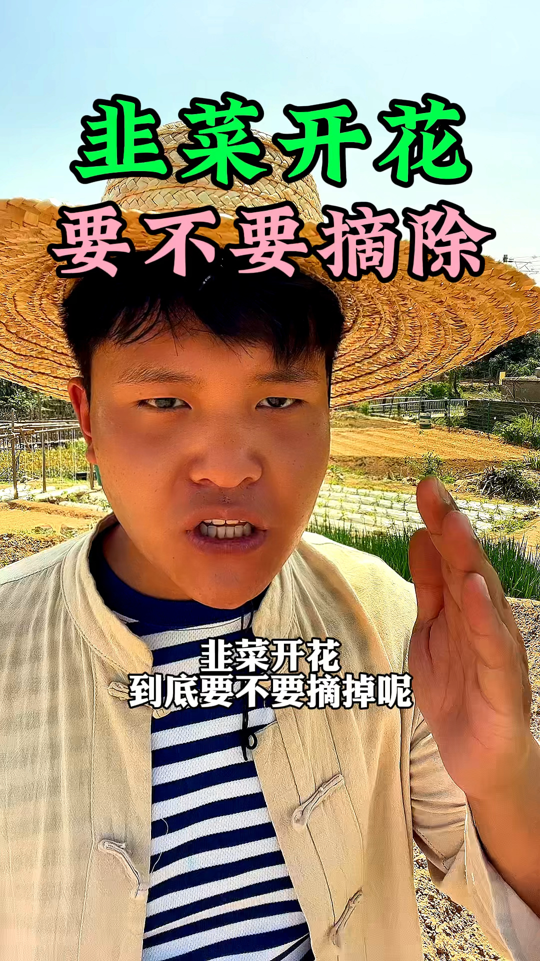 韭菜开花了,要不要摘除韭菜花呢