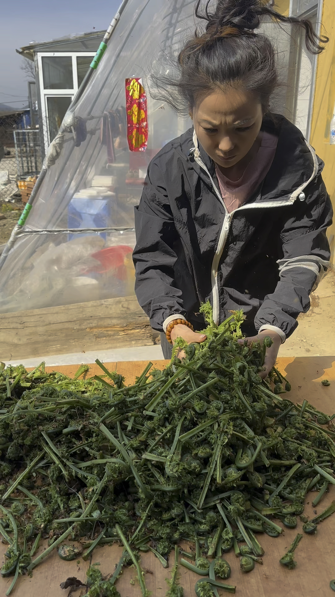 山野菜黄瓜香,包饺子炒肉半凉菜!