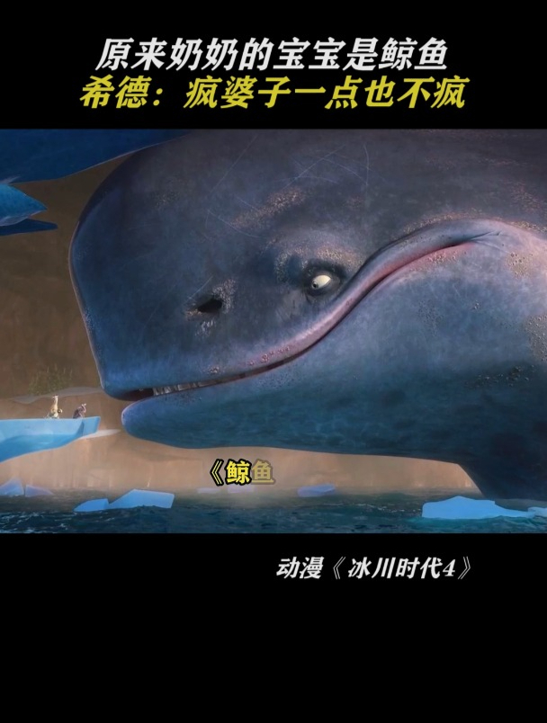 冰川时代4:鲸鱼宝宝