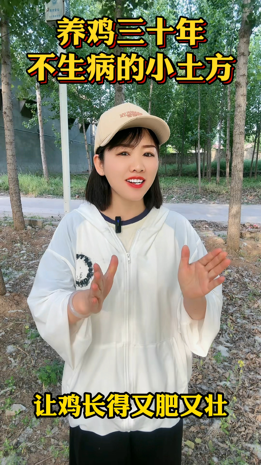 养鸡三十年 不生病的小土房