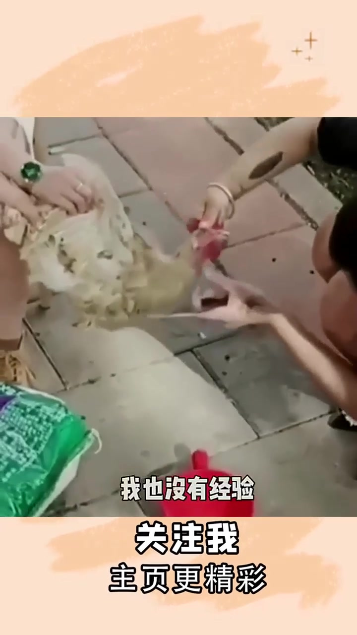 第一次杀鸡,有点激动!