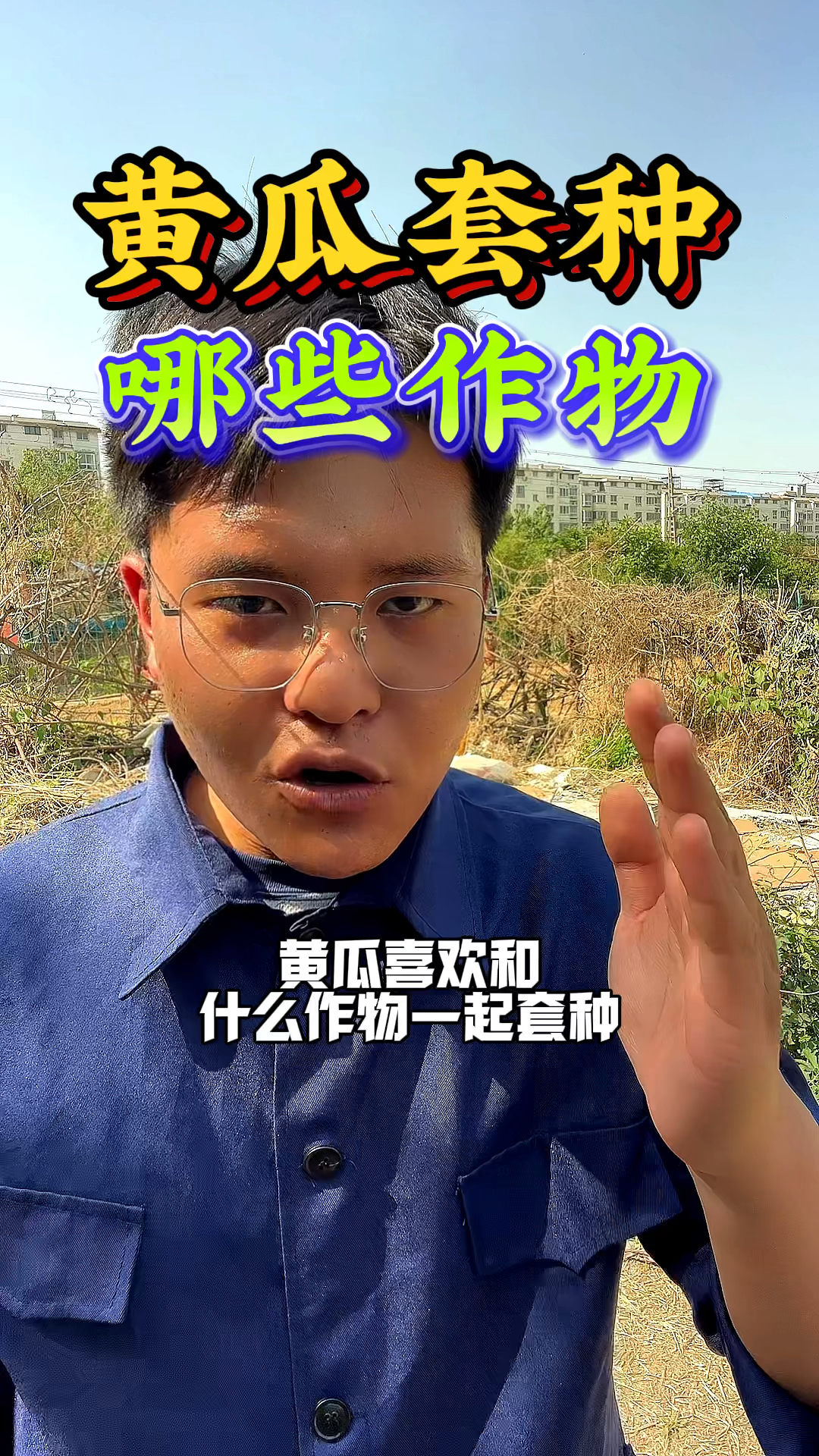 黄瓜喜欢和什么种在一块,套种蔬菜知识