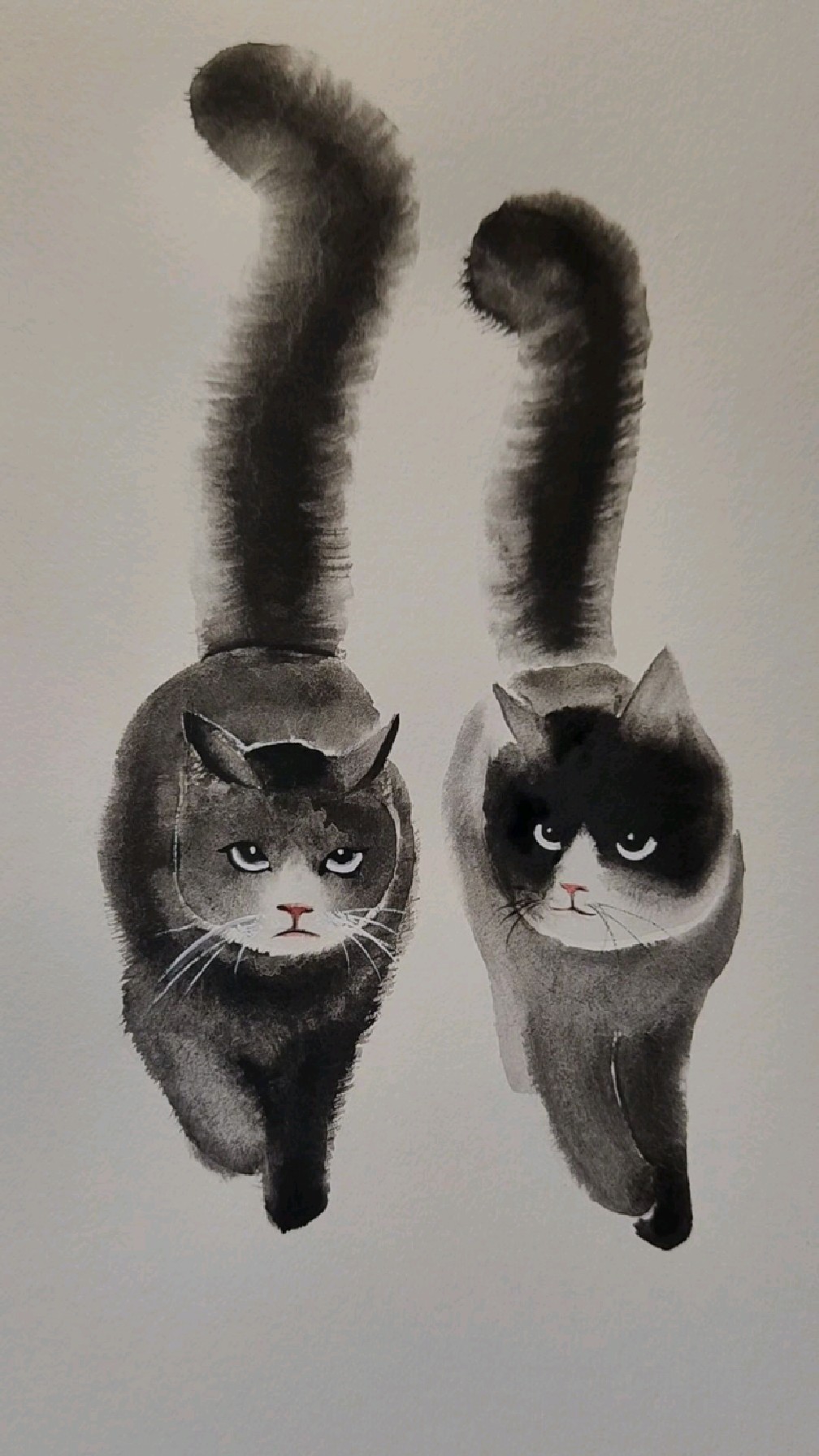 两只大尾巴猫,一起画吧!
