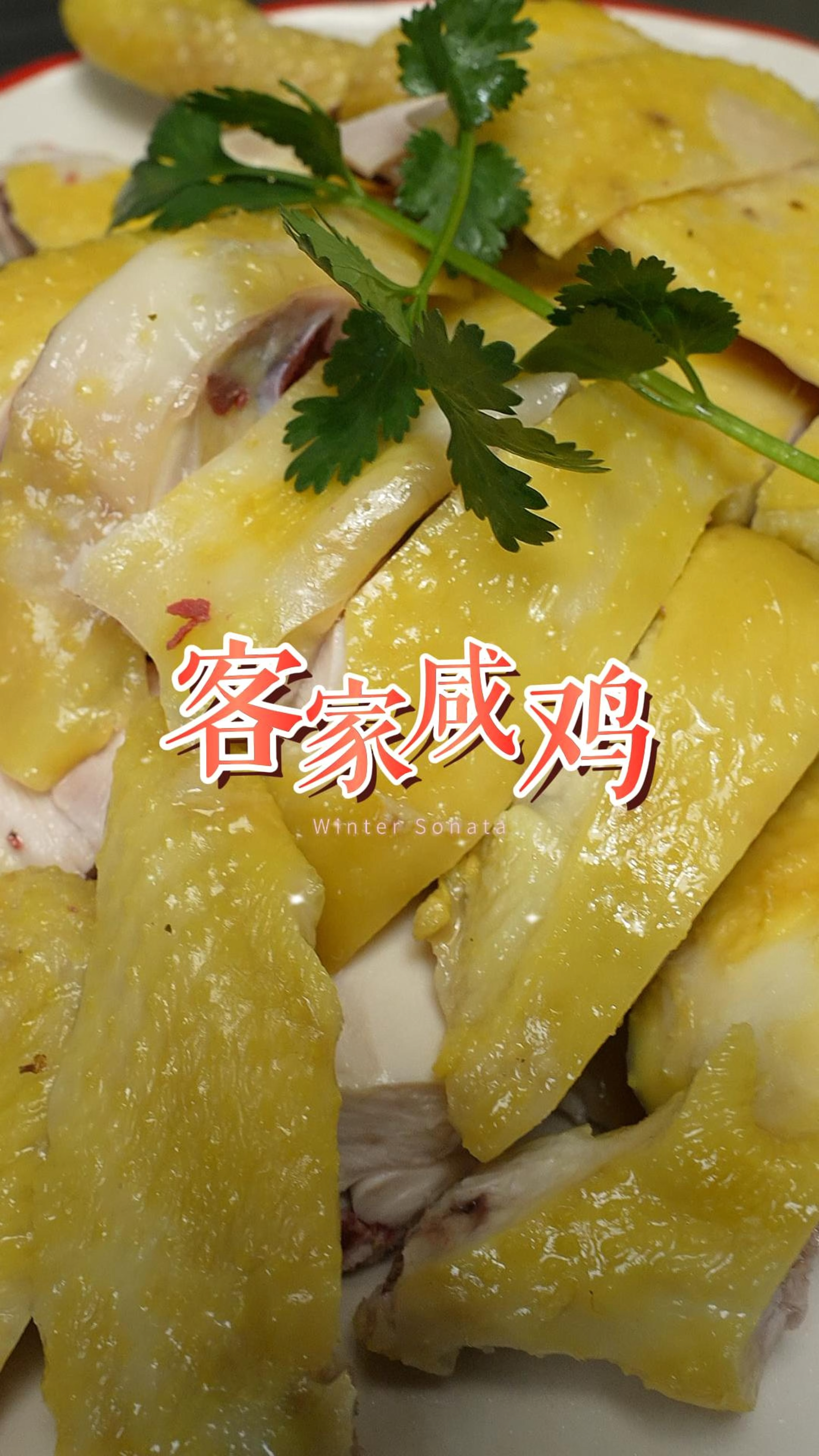 做法经典的客家咸鸡,皮爽肉滑,比白切鸡更咸香入味