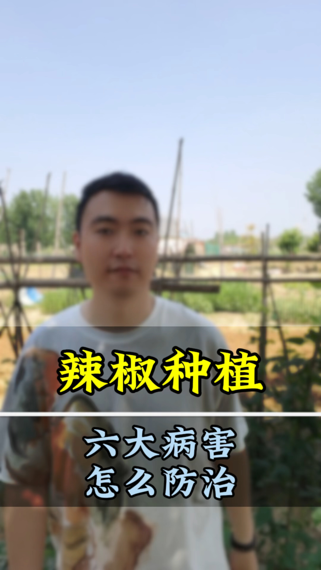 辣椒种植防治病害