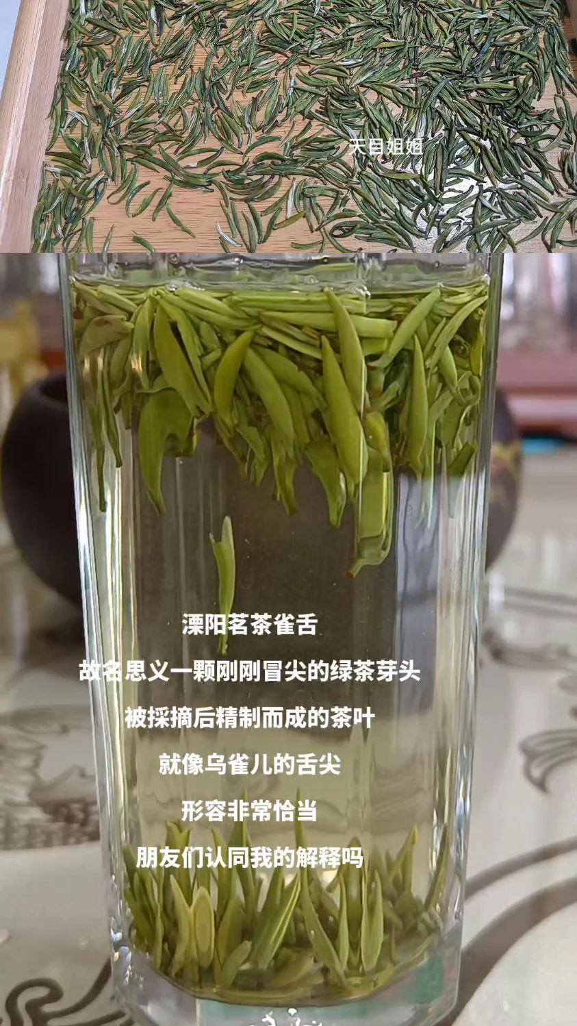 溧阳茗茶雀舌,顾名思义一颗刚刚冒尖的绿茶芽头,像小乌的舌尖