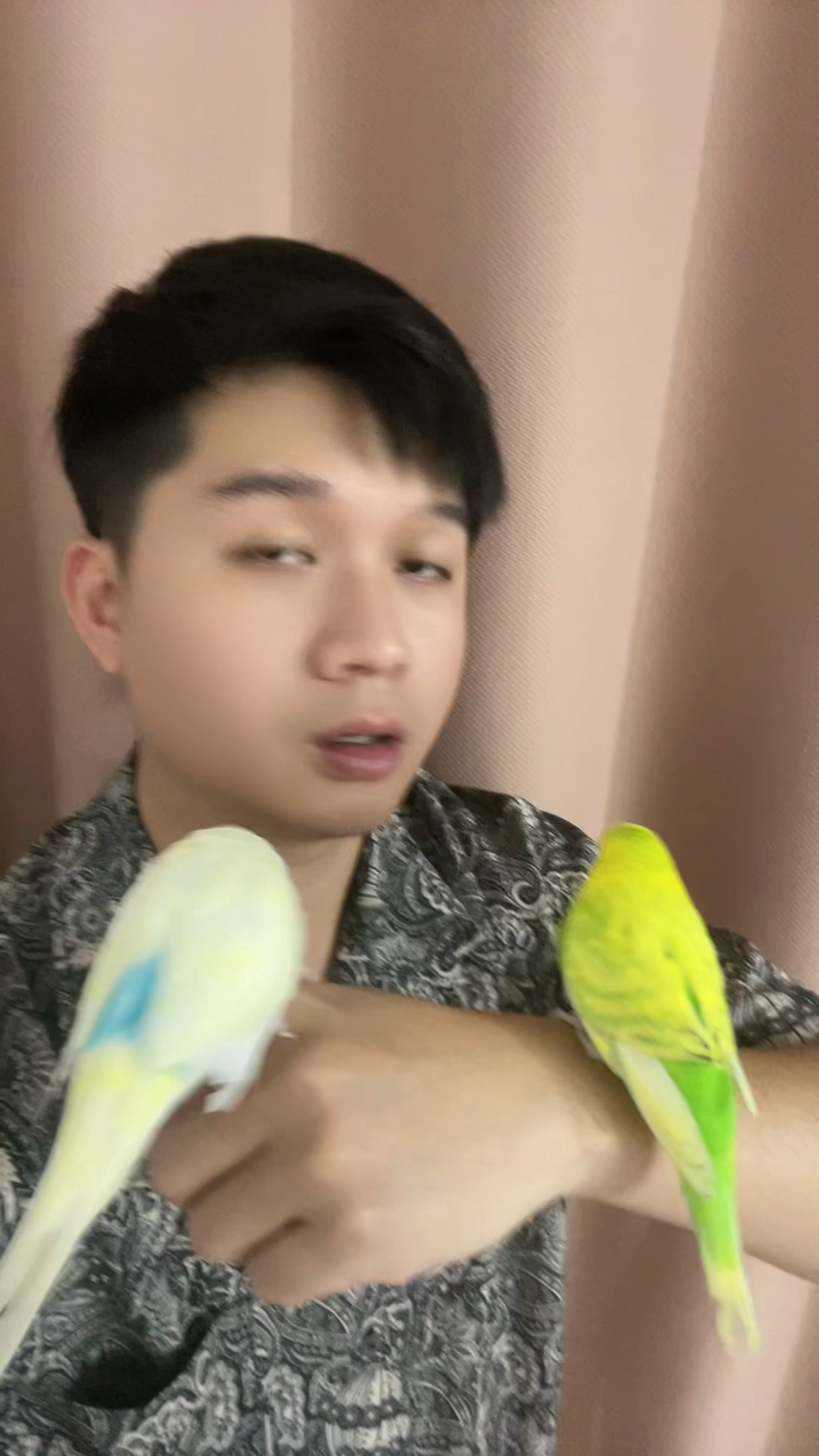 如何区分虎皮公母