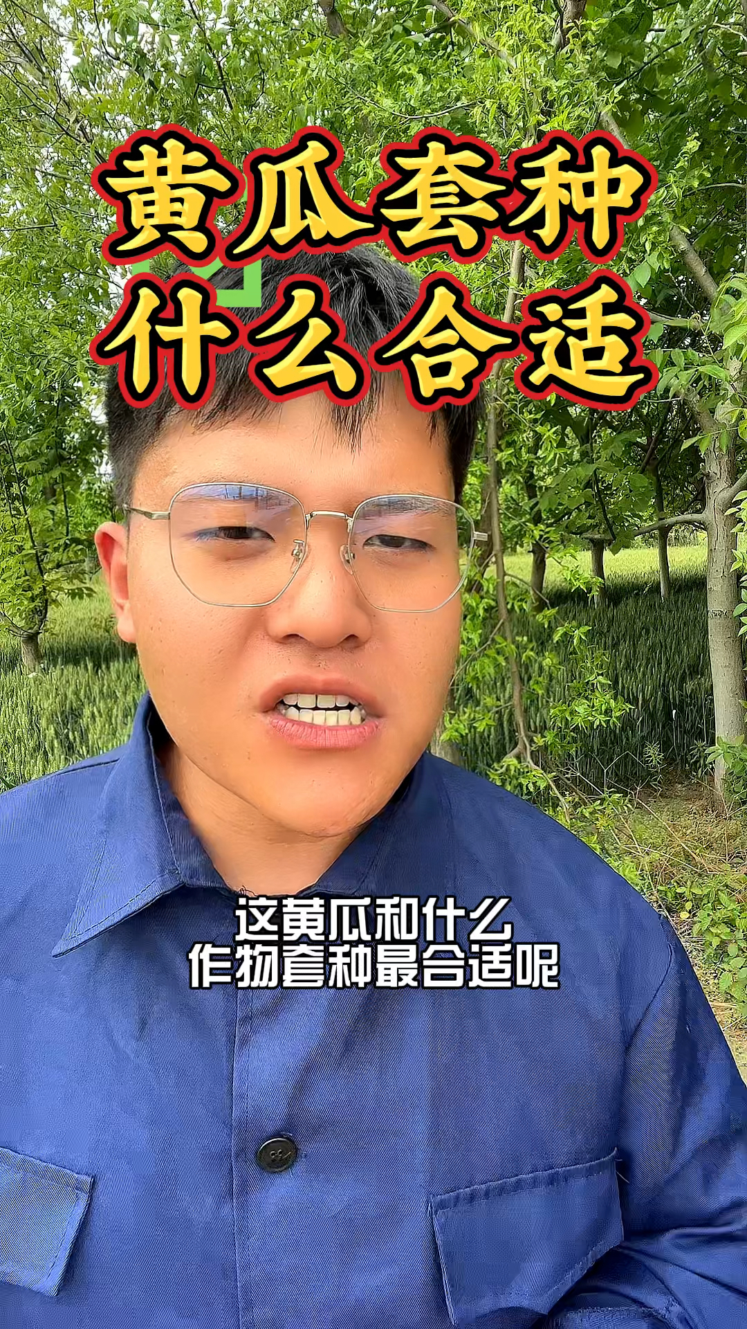 想要蔬菜套种,黄瓜和什么一起种比较好