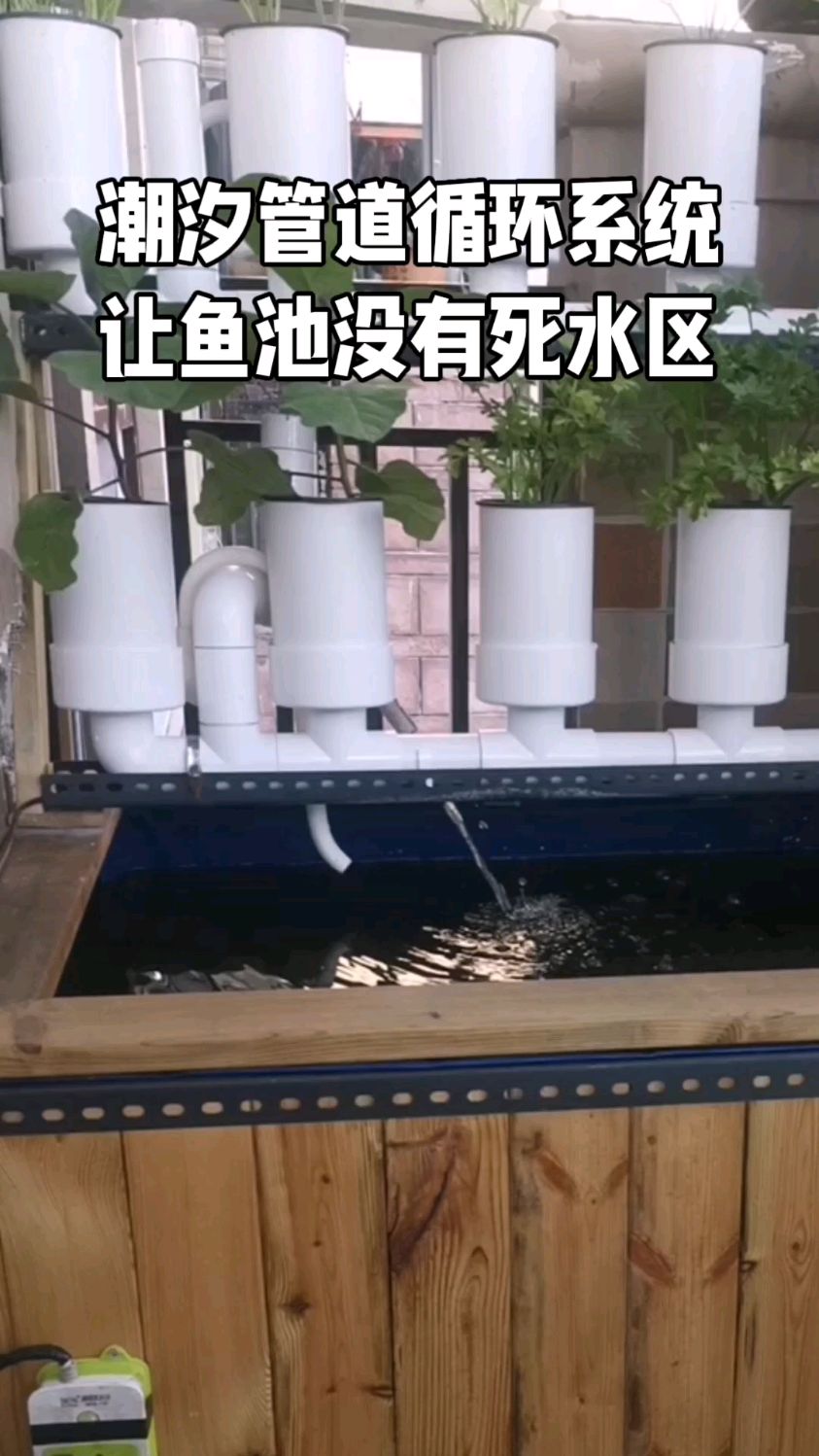 潮汐管道循环系统,让鱼池的水不再有死水区。