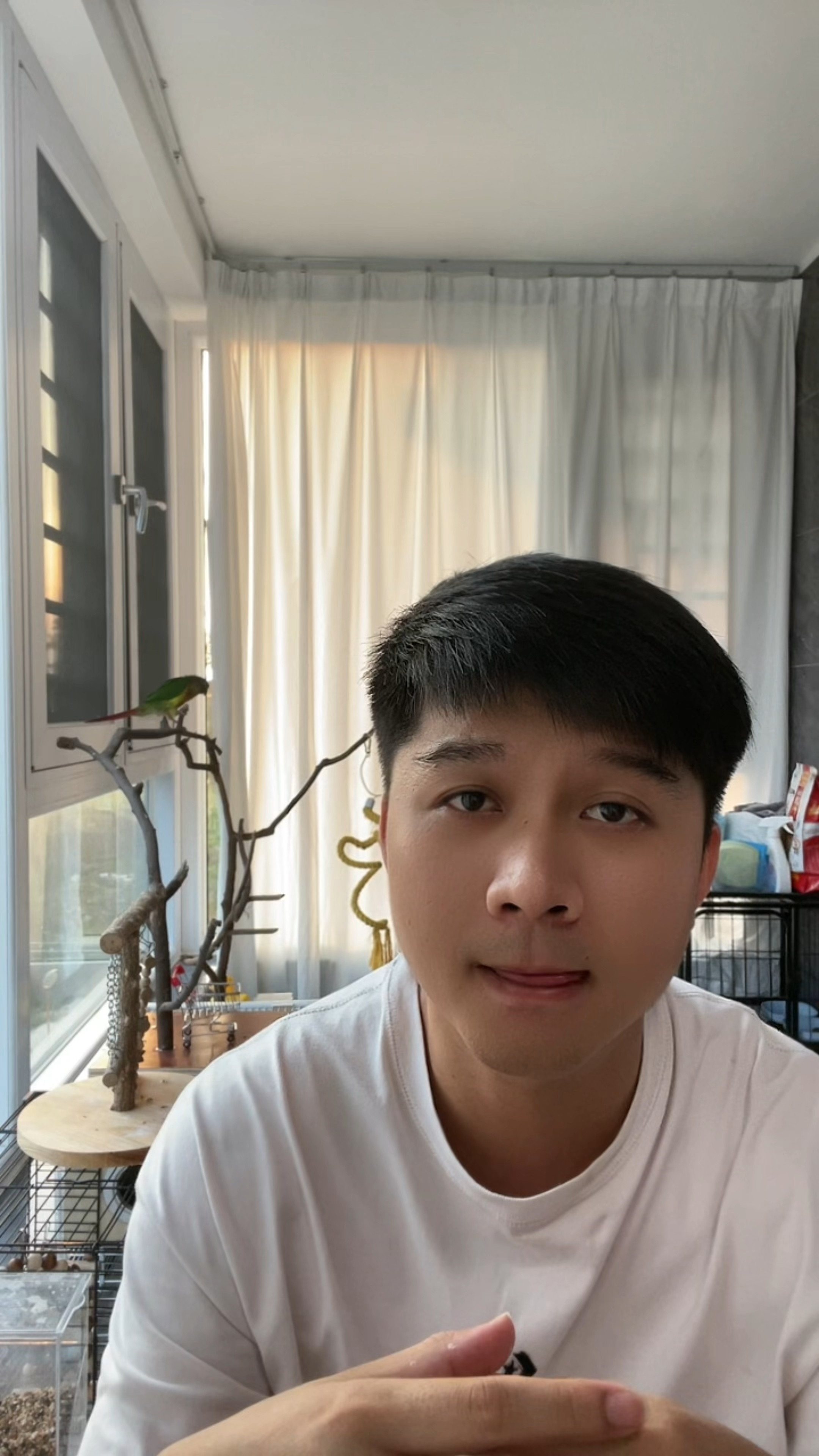 不同鹦鹉价格参考