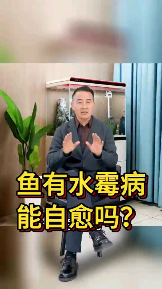 鱼有水霉病能自愈吗?