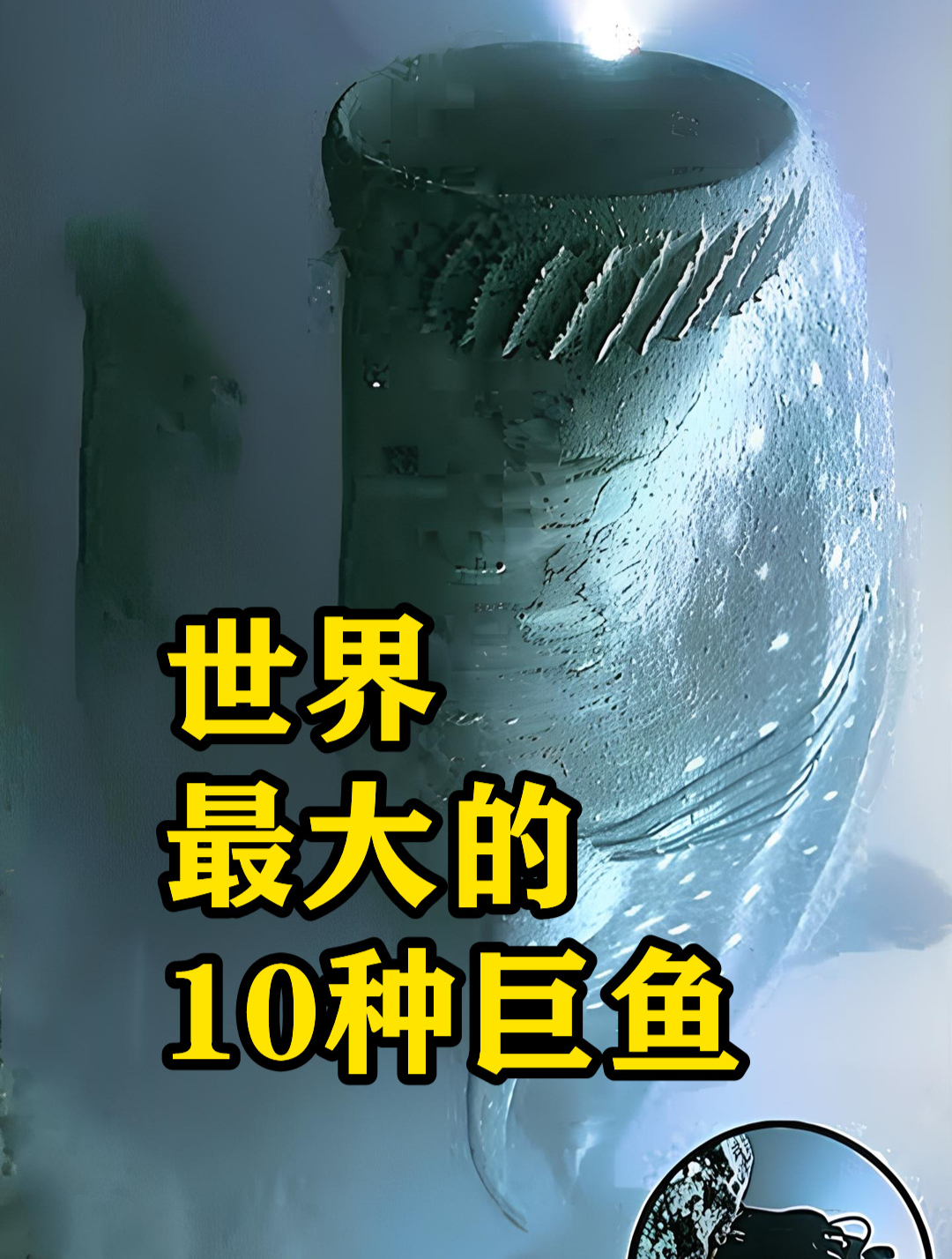 世界最大的10种巨鱼!大白鲨只排第3名,第一名把鲸鱼当零食吃