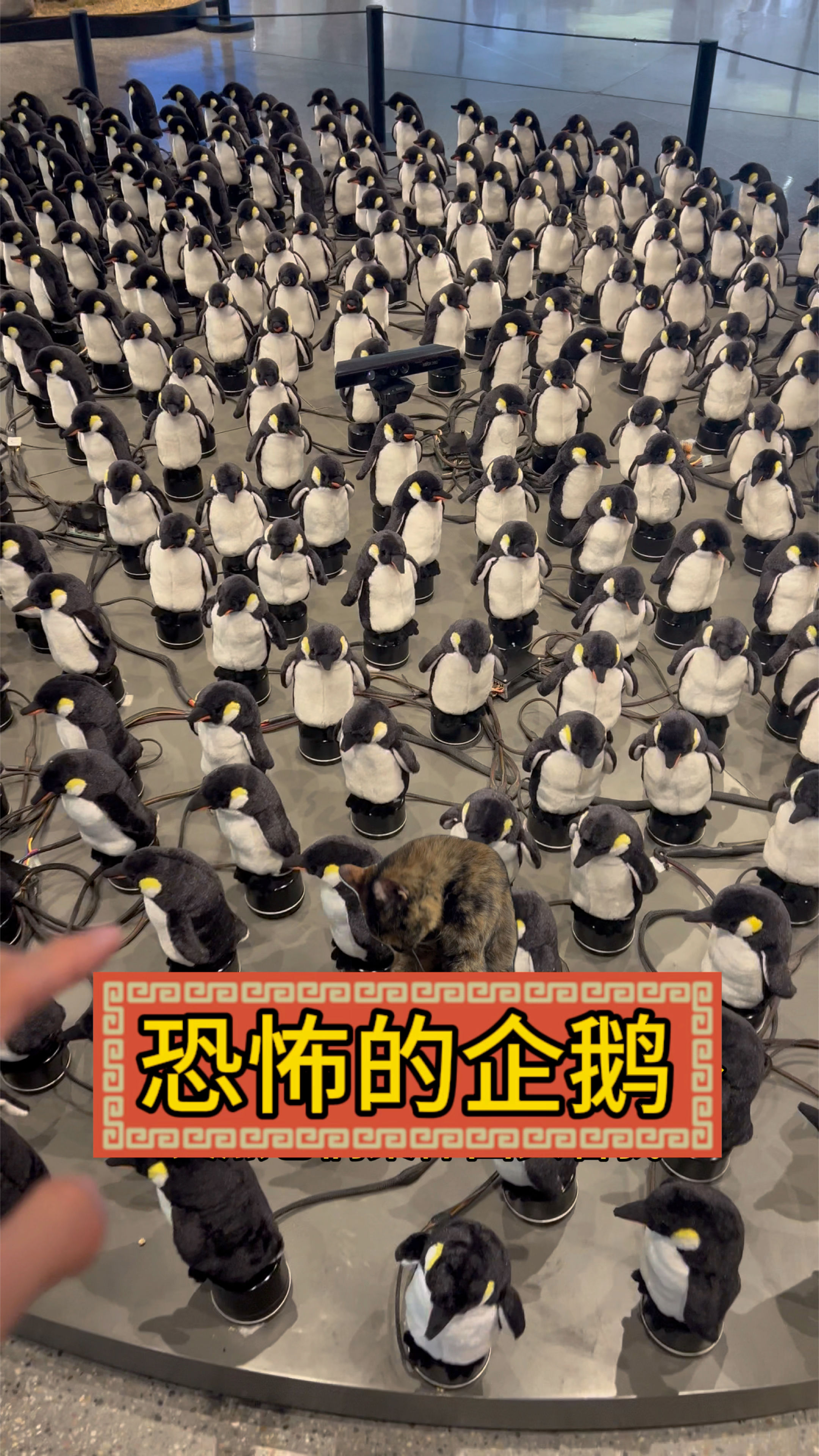 恐怖的企鹅,被克苏鲁控制