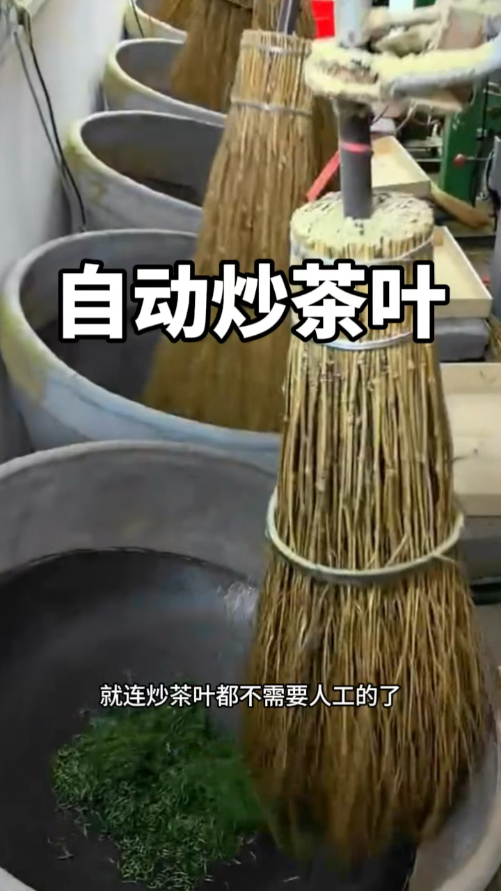 自动炒茶叶,代替了人工