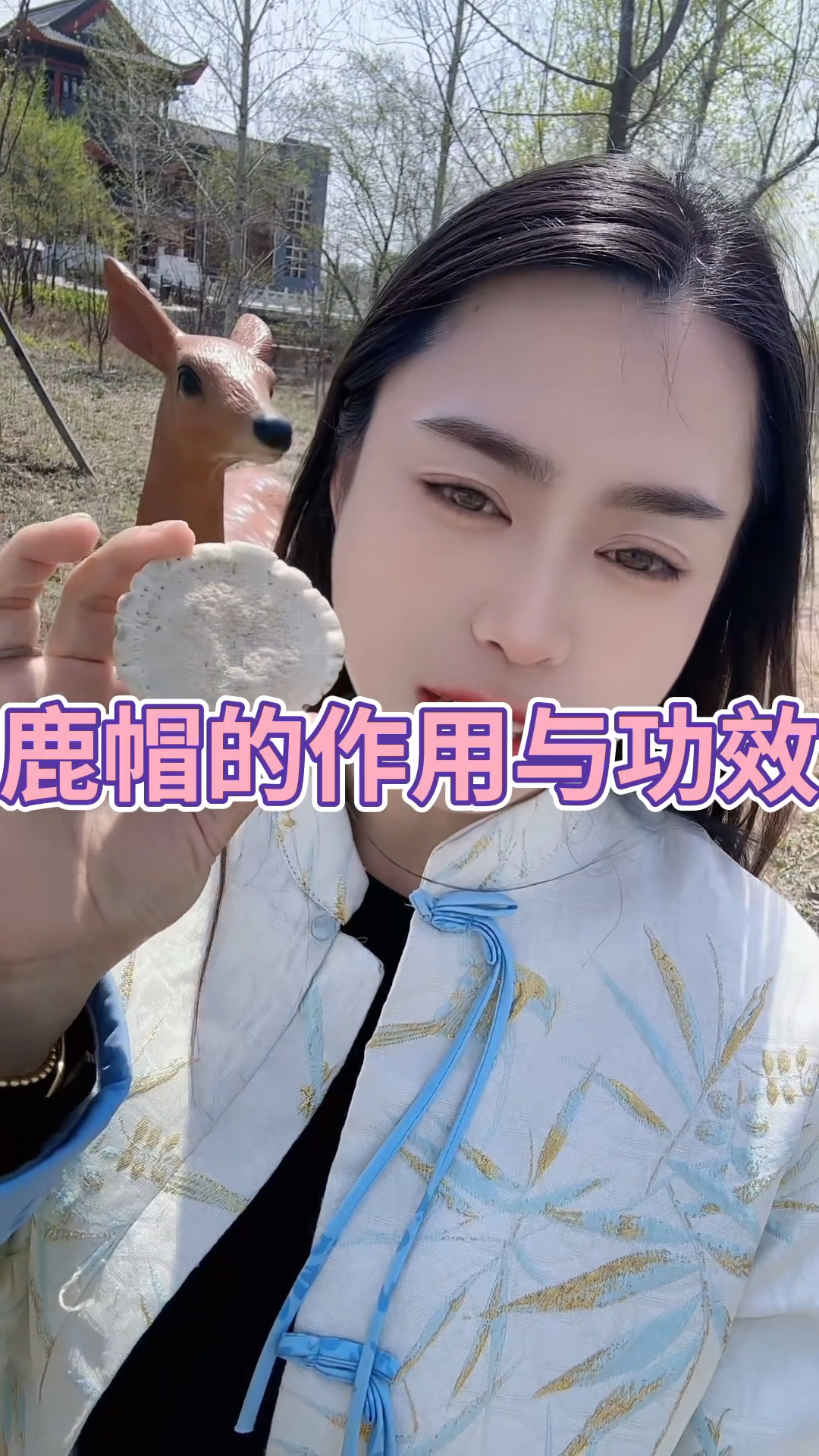 鹿角帽的作用与功效