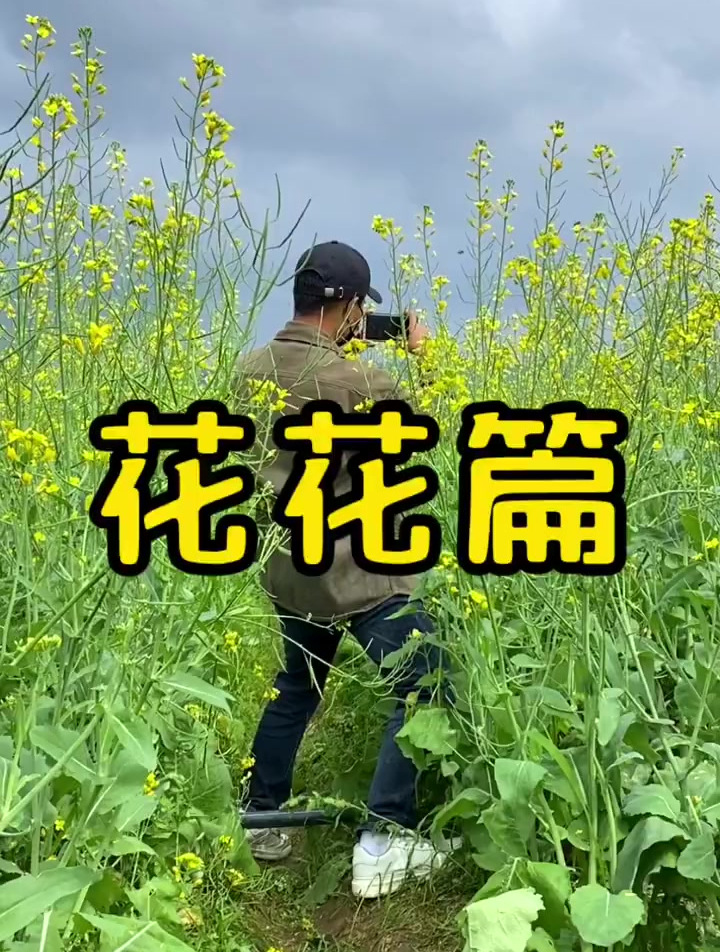 五一出游看到油菜花试试这样拍