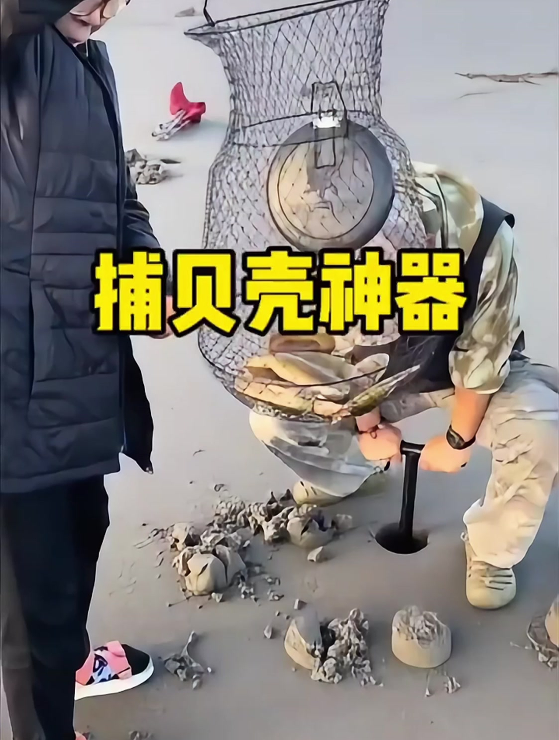 是不是有了这个工具,就有吃不完的贝壳了