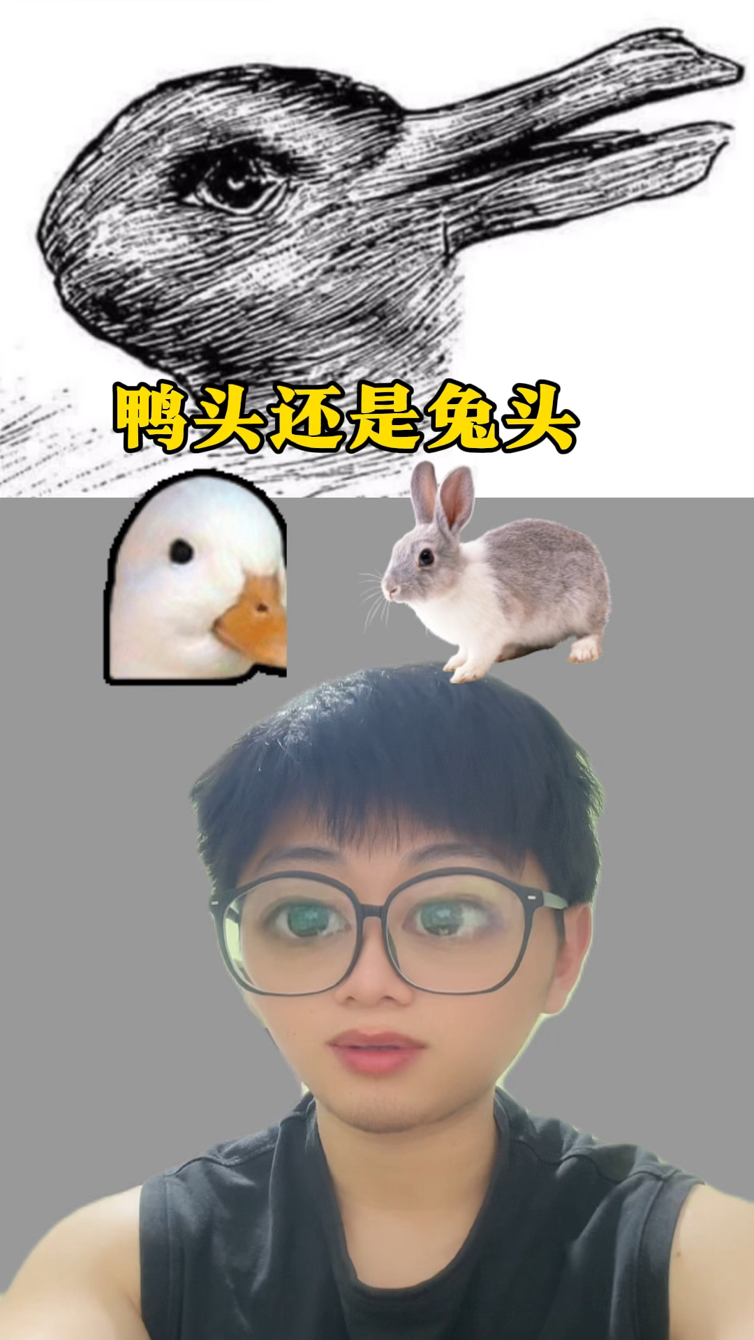 你们看到的是鸭头还是兔头呢