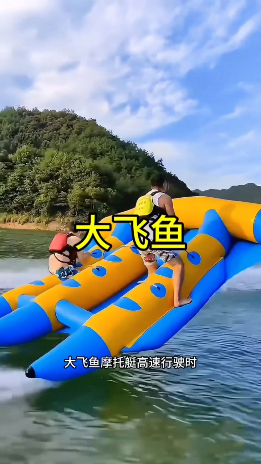 水上大飞鱼见过没