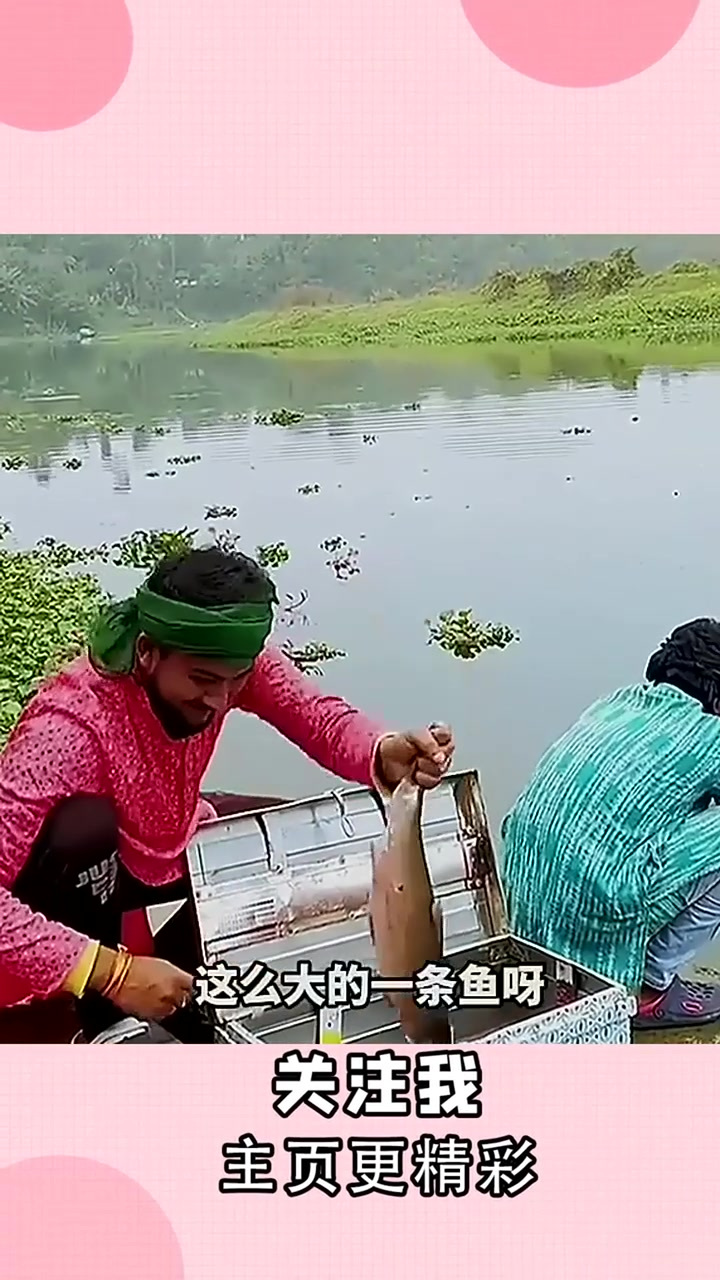 箱子里的鱼