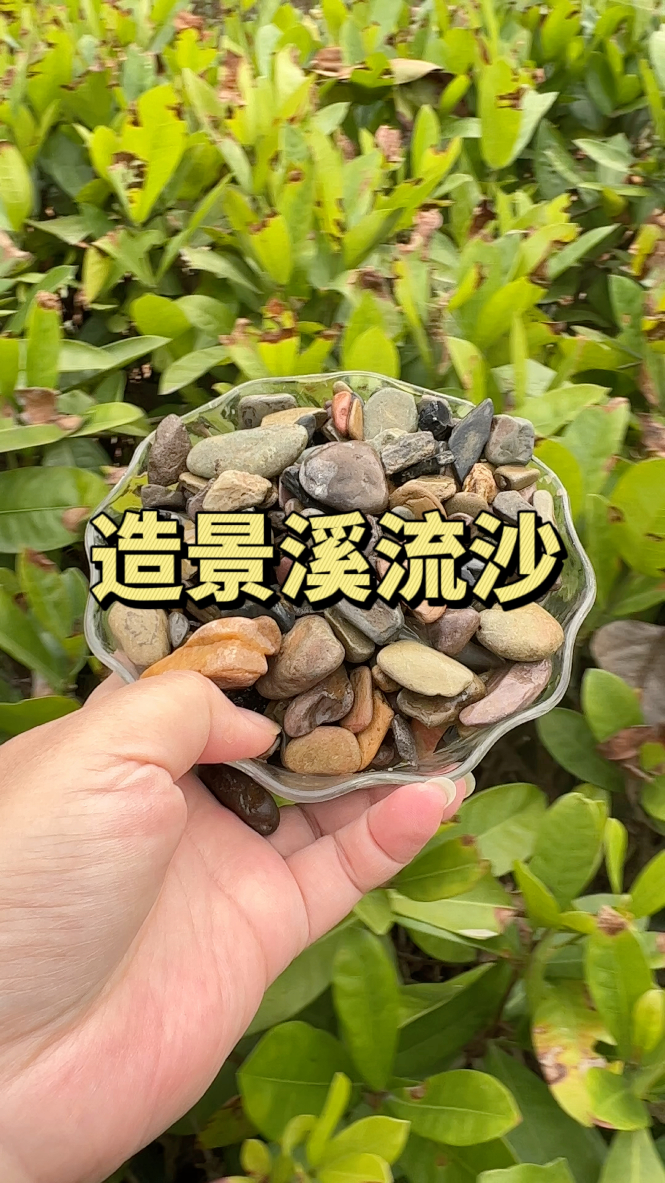 纯天然的溪流沙造景美观,适合众多鱼缸做底沙。#水族#溪流沙