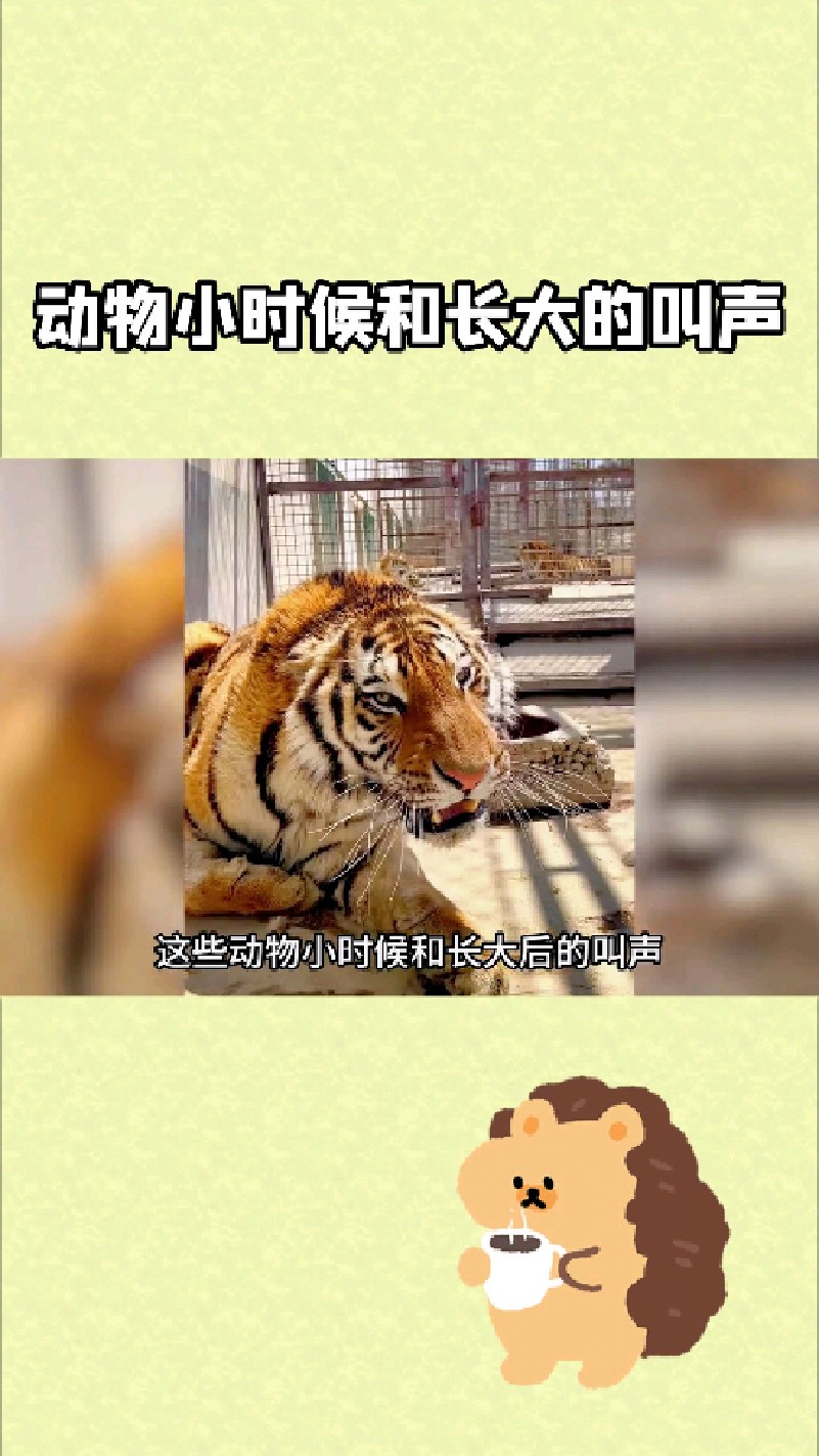 动物小时候和长大的叫声大不一样 你听过吗