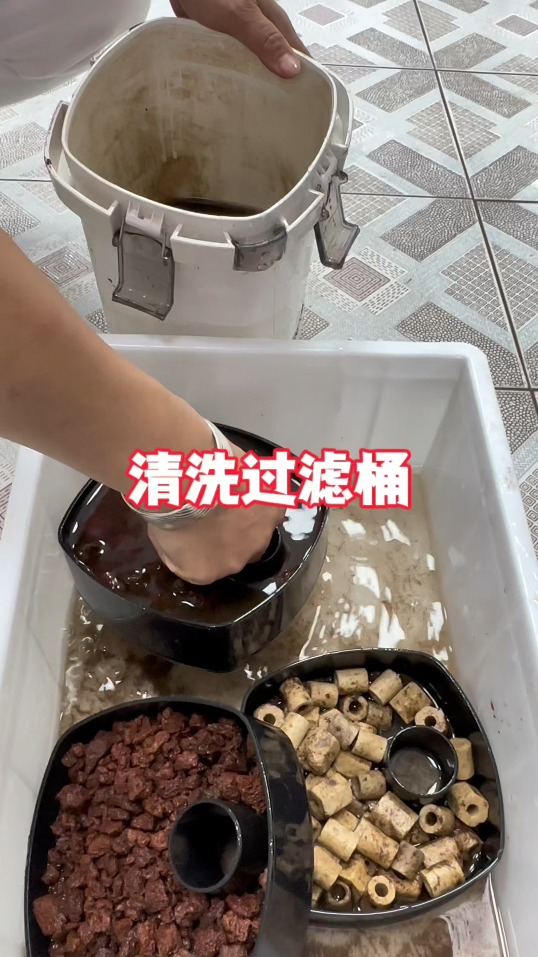 清洗过滤桶#水族 #鱼缸里的大自然 #养鱼日记