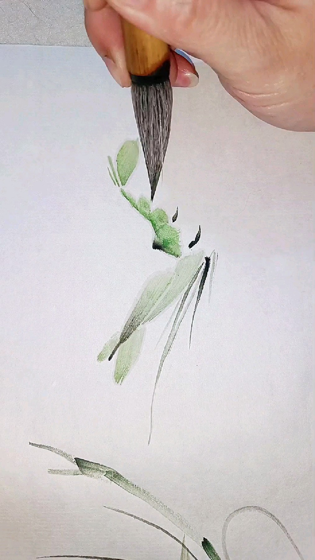 用一支毛笔画绿虾,喜欢国画的朋友进来欣赏艺术之美吧