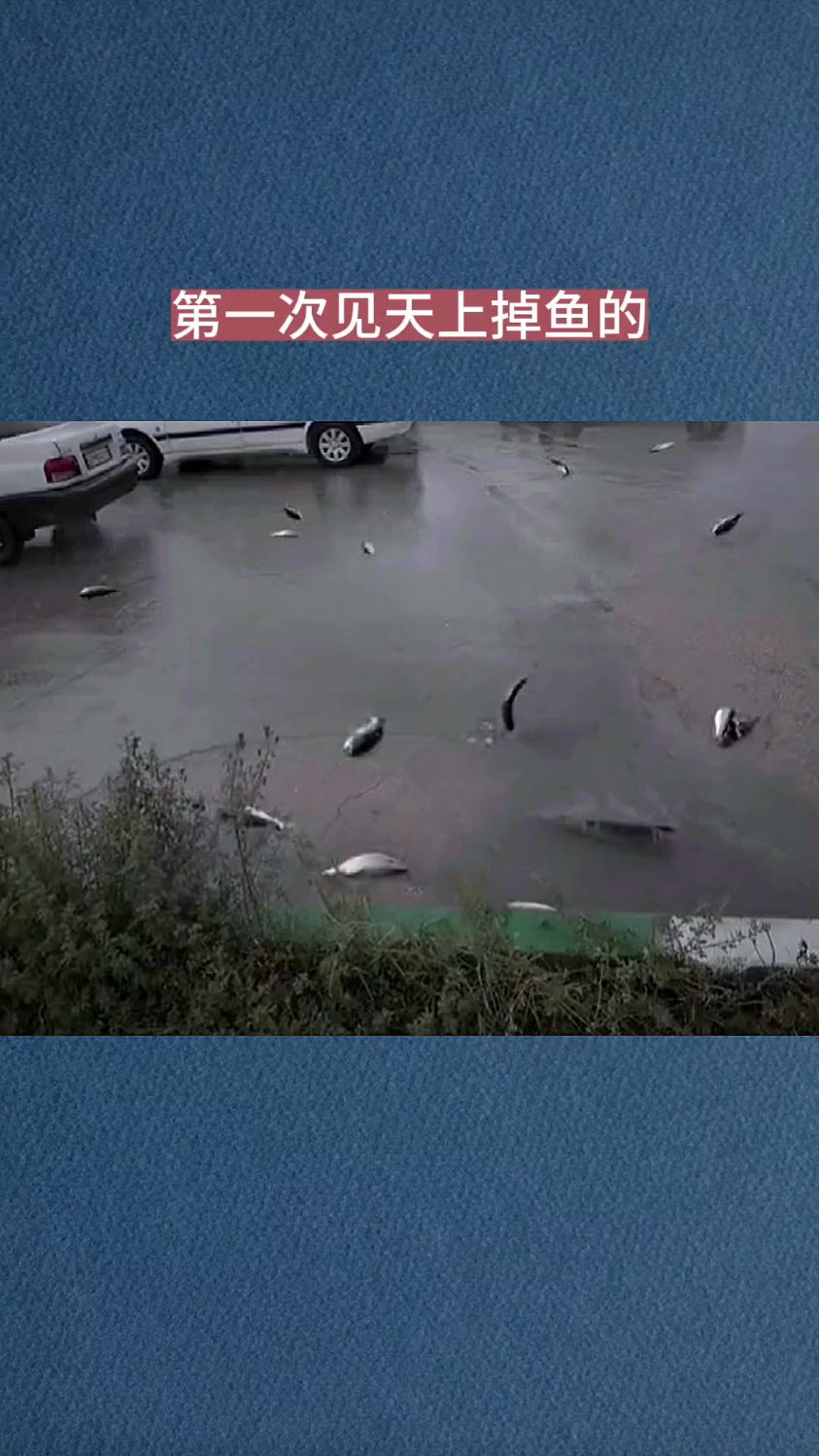 第一次见天上掉鱼的
