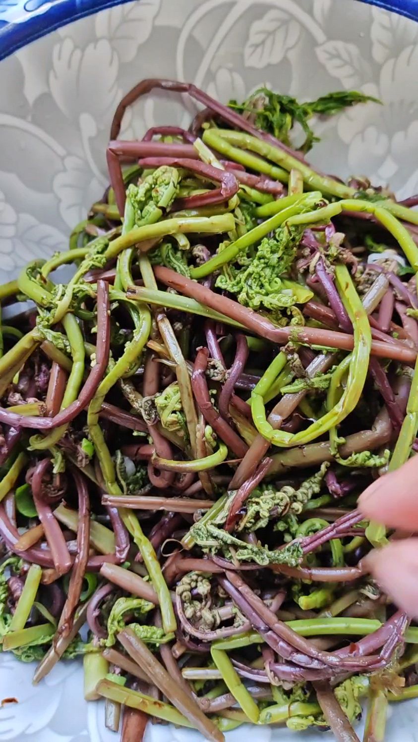 今天从山上采回来的野生山野菜,晚上凉拌猴腿菜,一口气吃了一盆