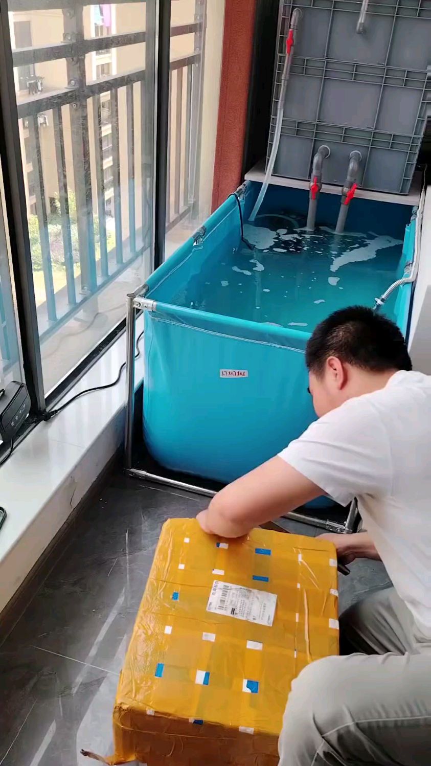 一时买鱼一时爽,一直买鱼一直爽#新手养鱼 #锦鲤 #水族 #帆布鱼池