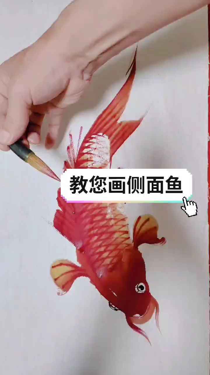 侧面鱼画法展示演示