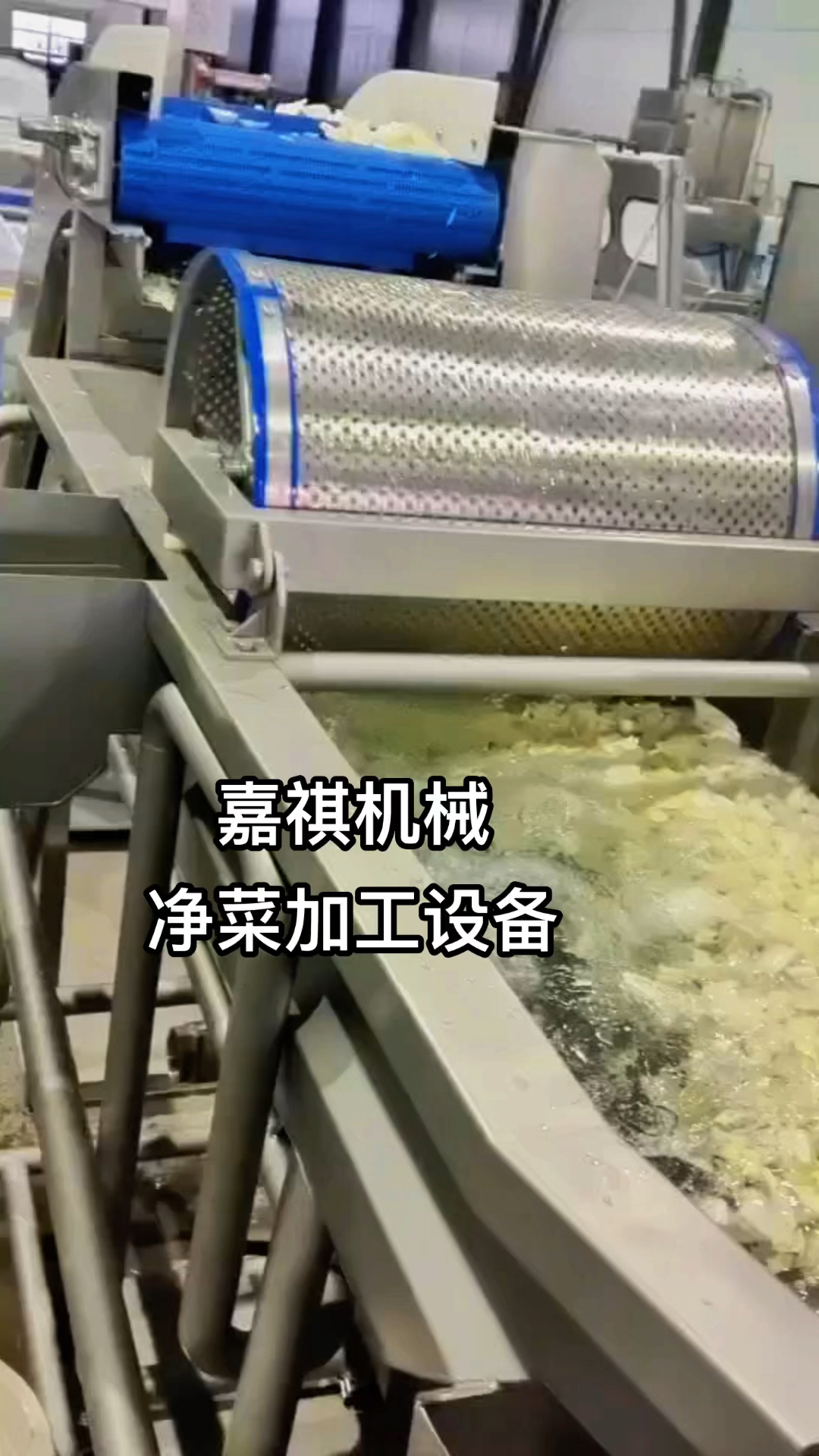 净菜加工设备专业生产厂家