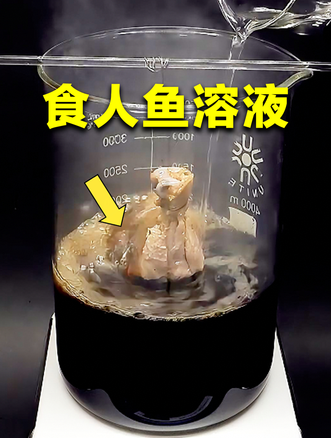 食人鱼溶液有多可怕?鸡腿放进去,竟被溶到骨头都不剩!