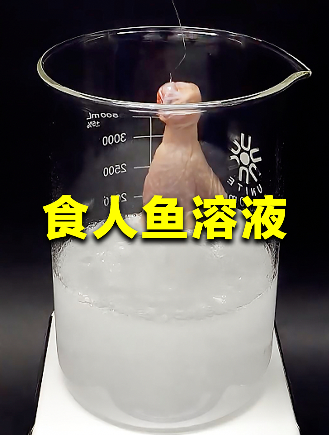 能把鸡腿溶到骨头都不剩,可怕的食人鱼溶液,是如何制作的?