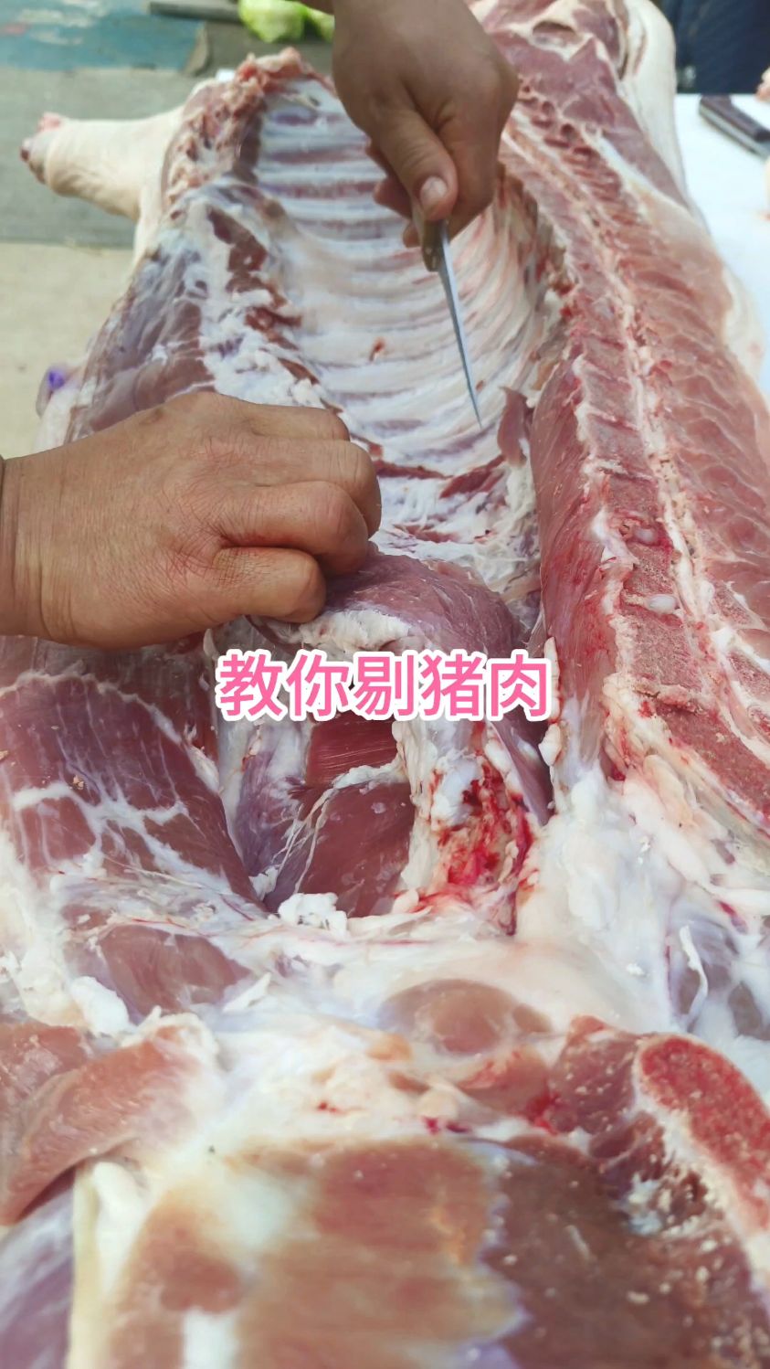 教你详细分割猪肉