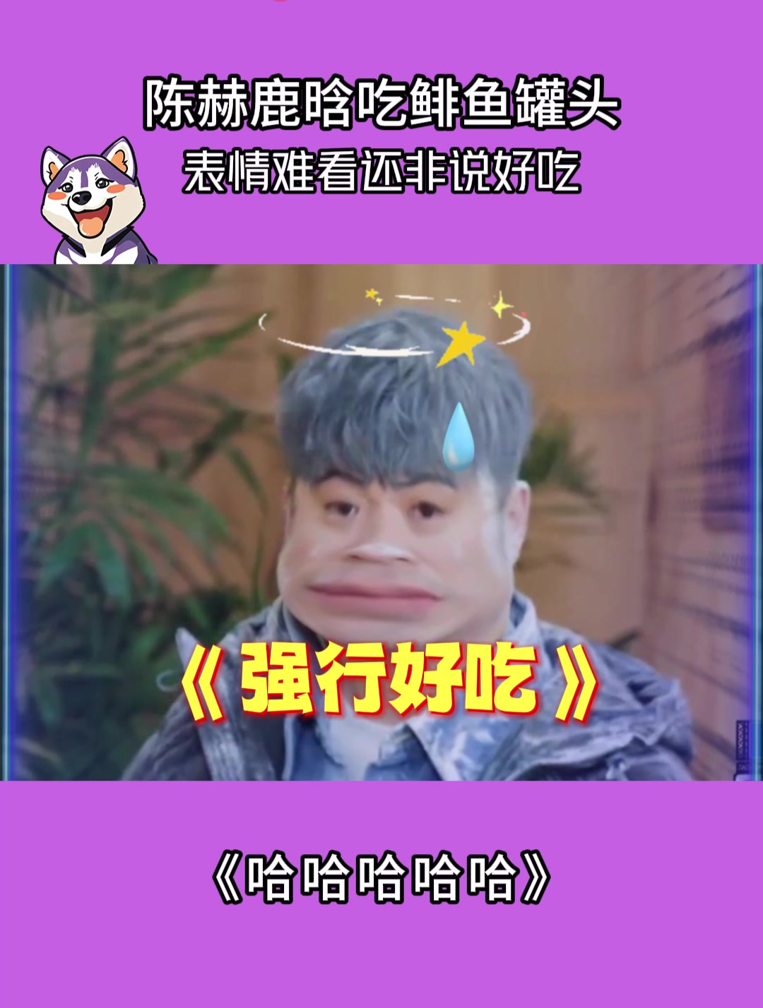 哈哈哈哈哈:陈赫鹿晗吃鲱鱼罐头,表情难看还非说好吃!