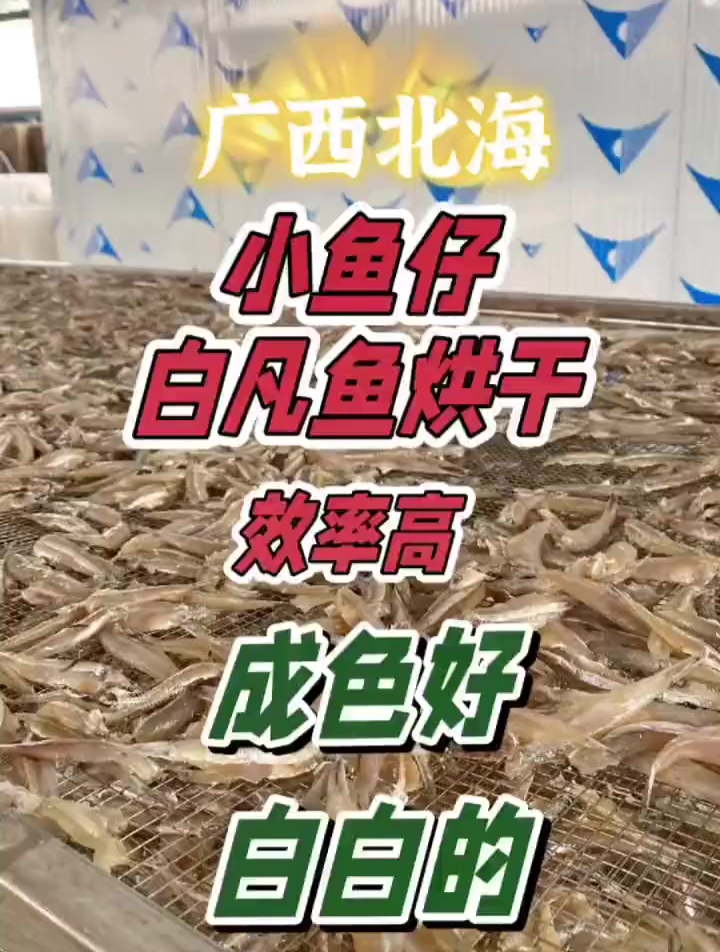 低温冷风海鱼烘干机,鱼干冷风干燥设备,节能高效,成色好