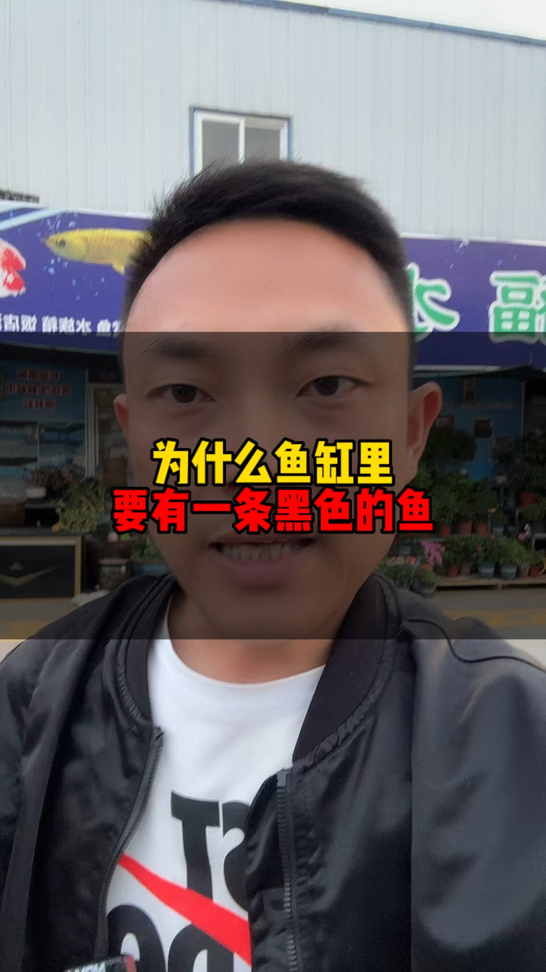 为什么鱼缸里要养一条黑色的鱼?#福水族#宁波古玩城花鸟巿场#宁波花鸟巿场