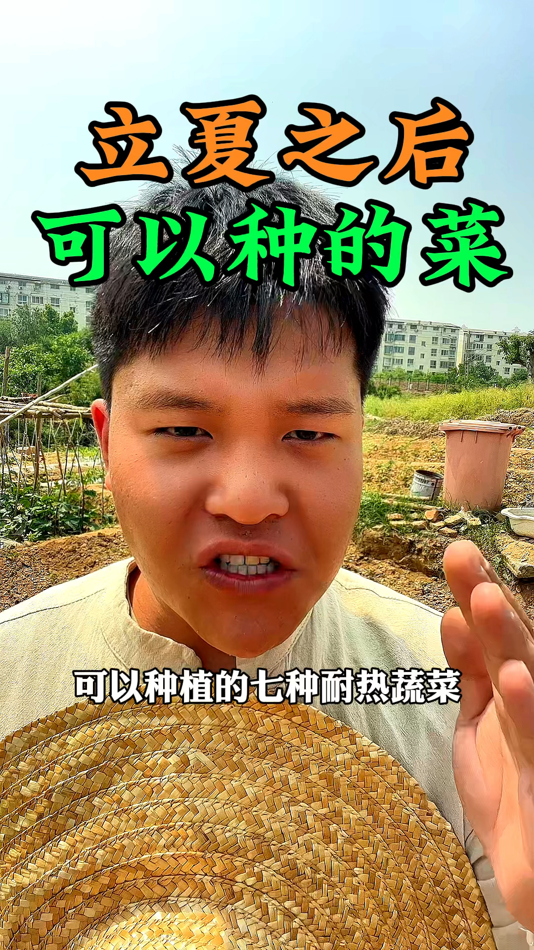 立夏之后可以种哪些蔬菜呢,有七种耐热的可以种植