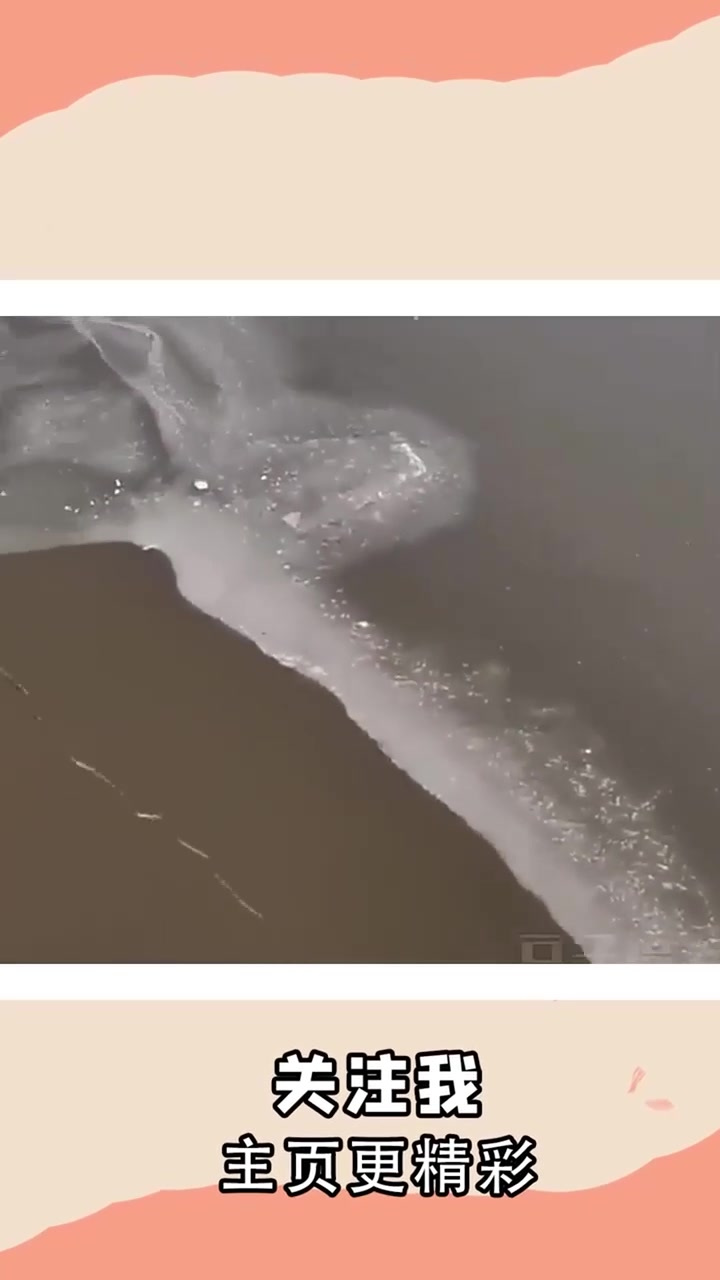 钓鱼佬撒网捕鱼,一网下去彻底惊呆,现实与理想有差距!视频