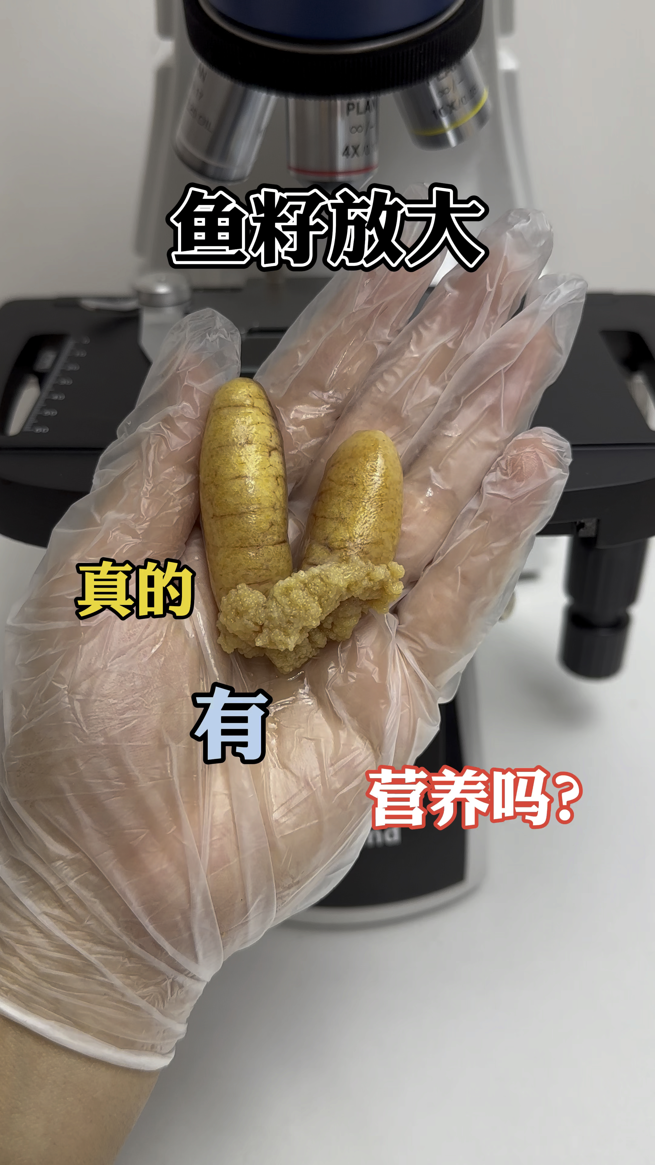 你们爱吃鱼籽吗?它真的有营养吗?