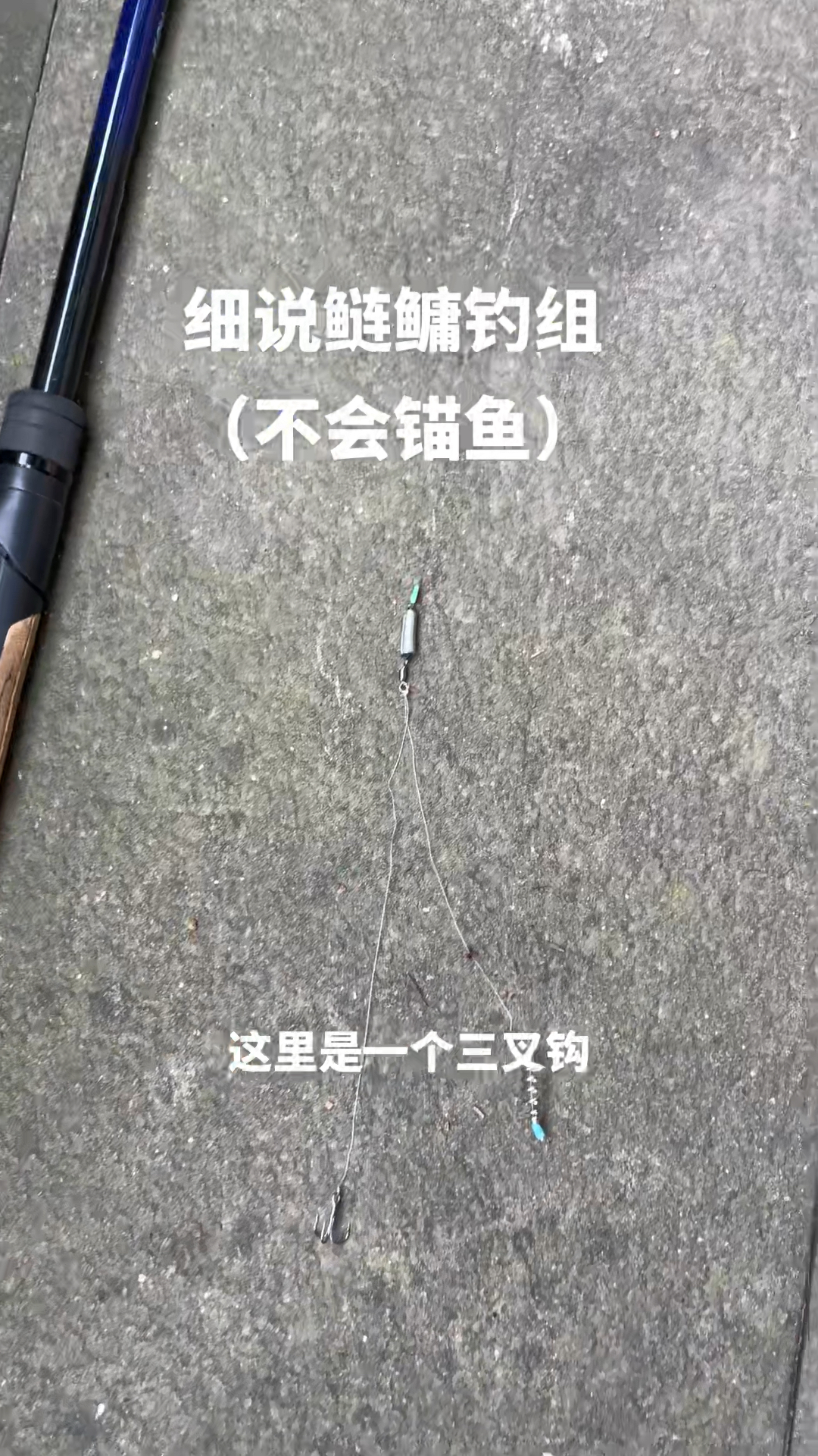 新式鲢鳙钓组详解