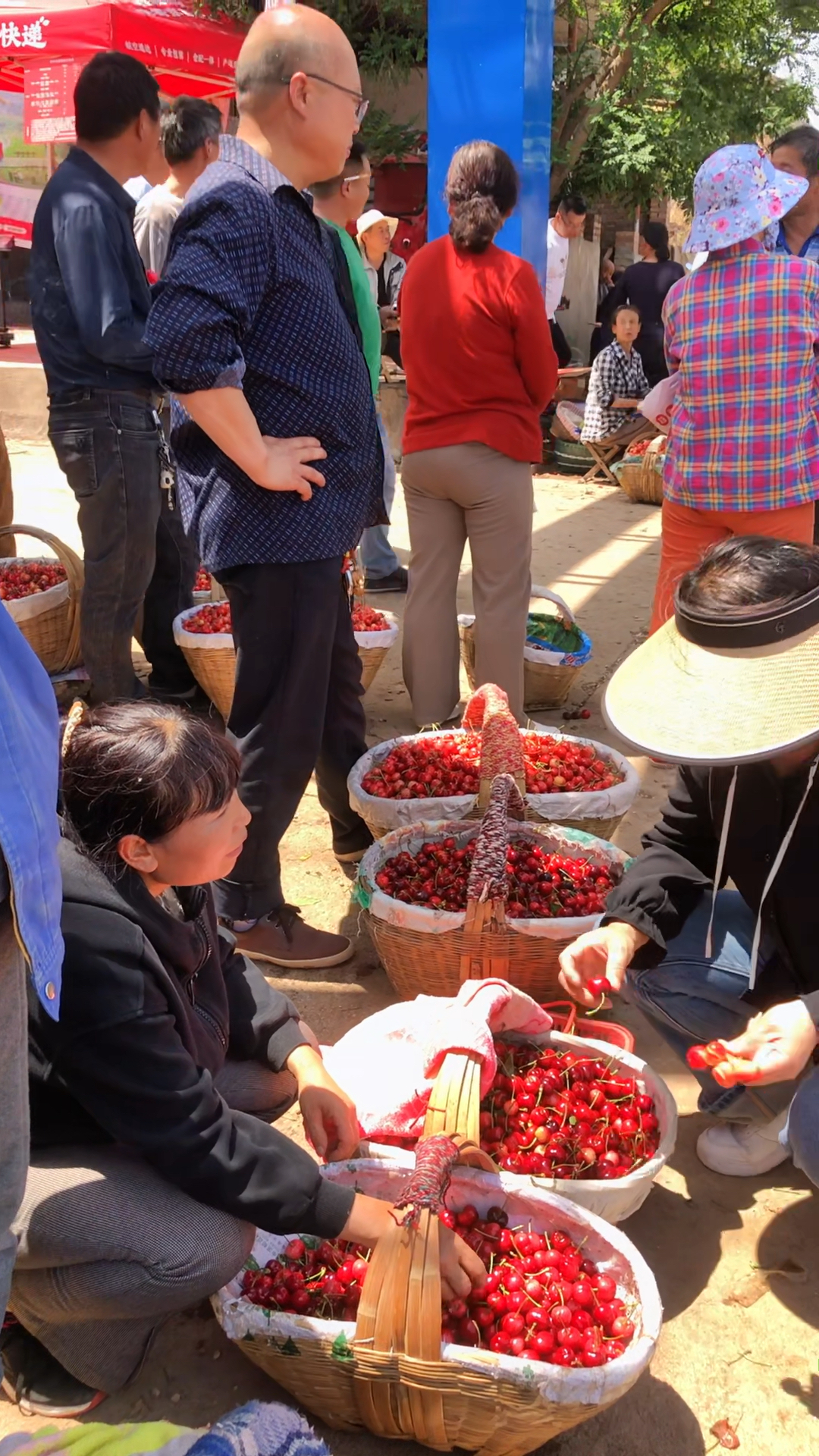 宝鸡八鱼樱桃市场,樱桃价格不等,大爷种了四五亩,听听能挣多钱